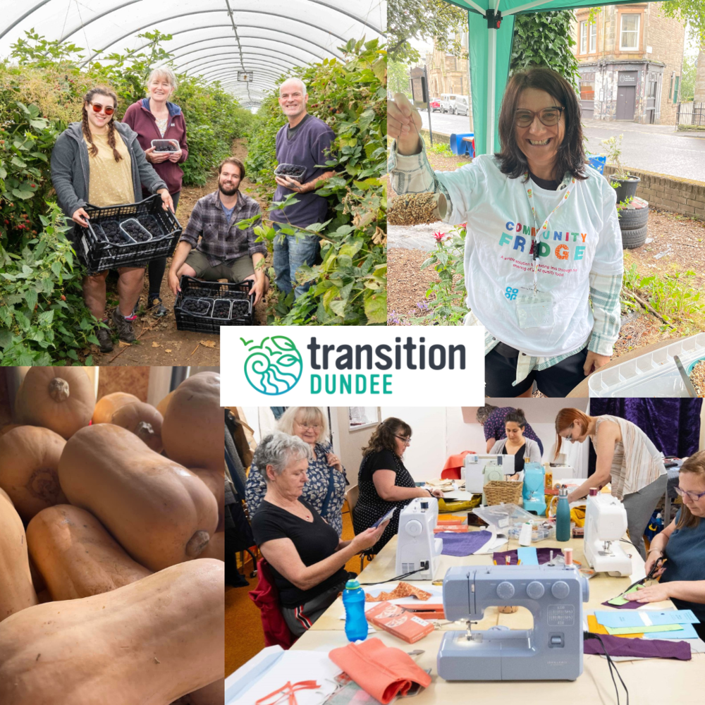 Transition Dundee community engagement/workshops