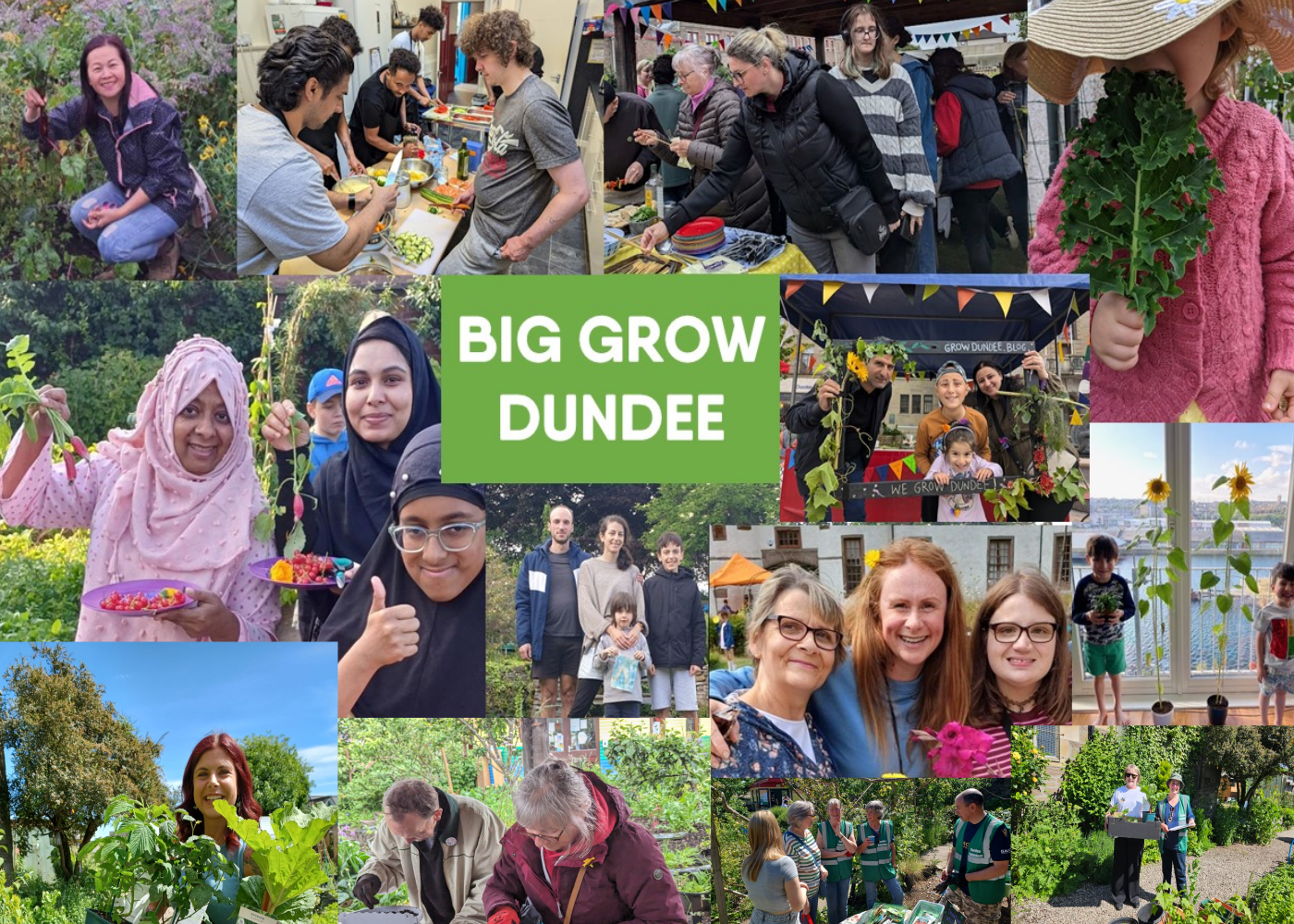 BIG GROW - GROW DUNDEE