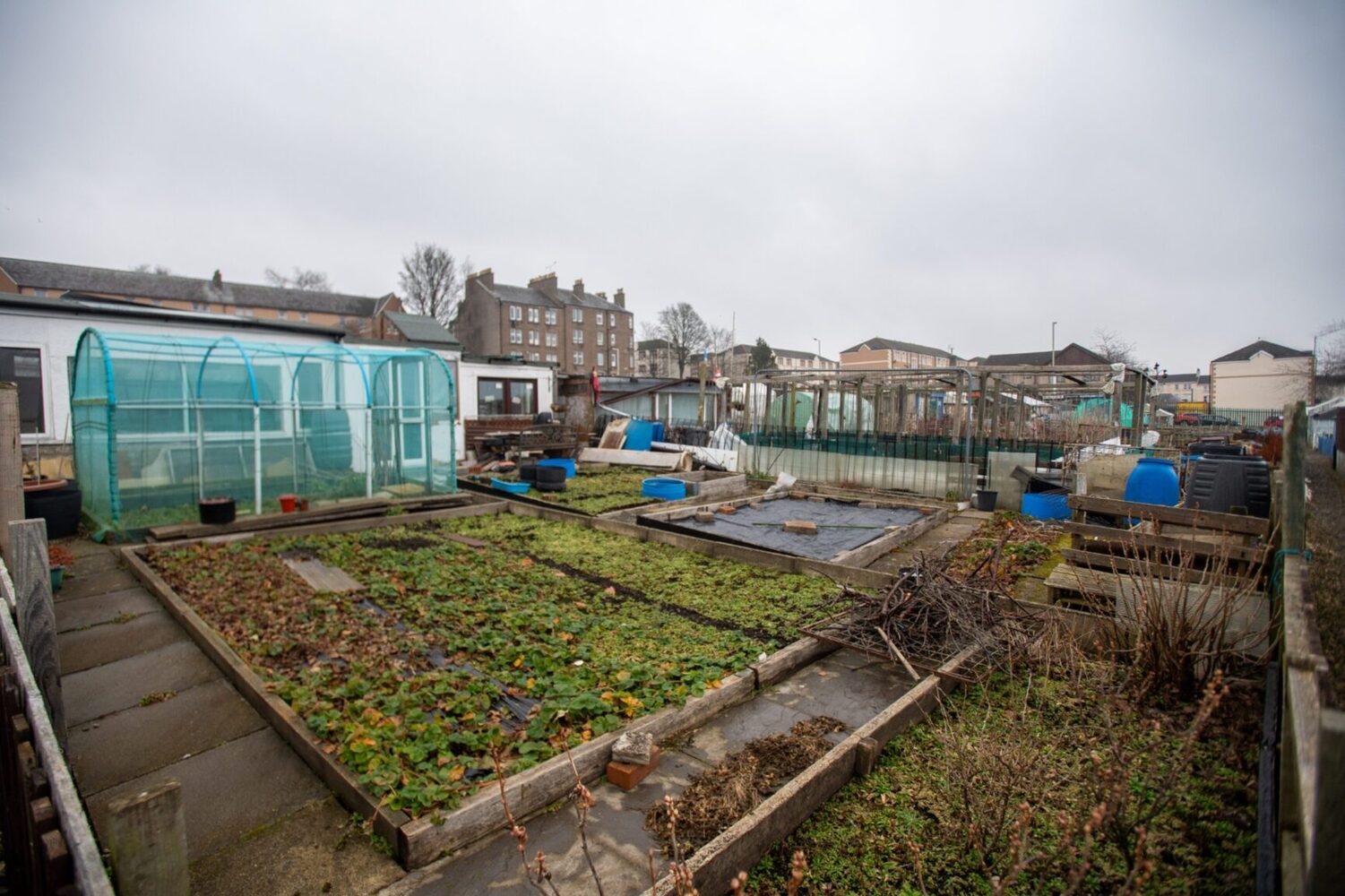 Clepington Gardens and Allotments.jpg