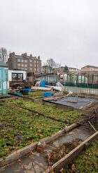 Clepington Gardens and Allotments.jpg