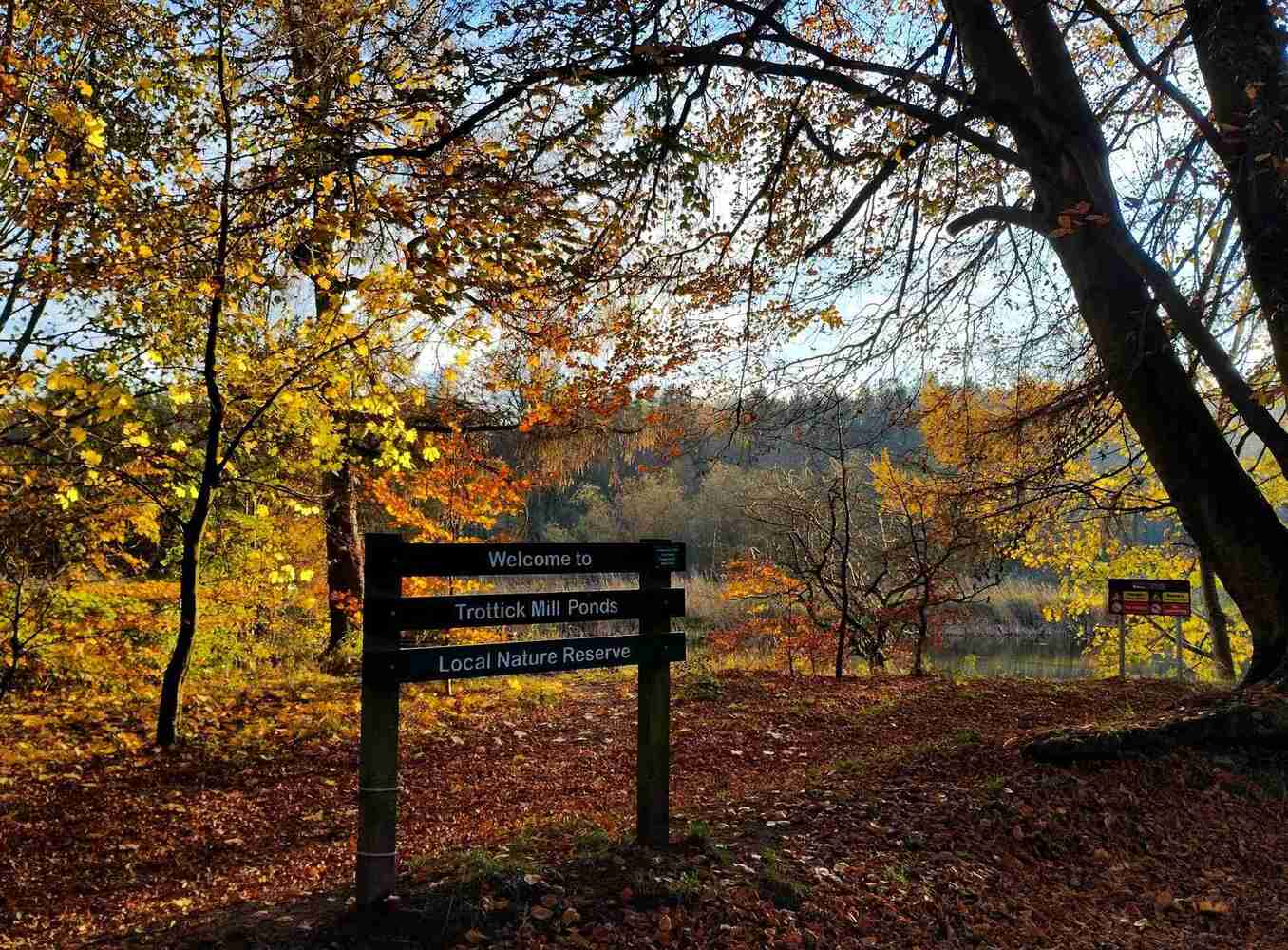 Trottick autumn.jpg Trottick autumn.jpg