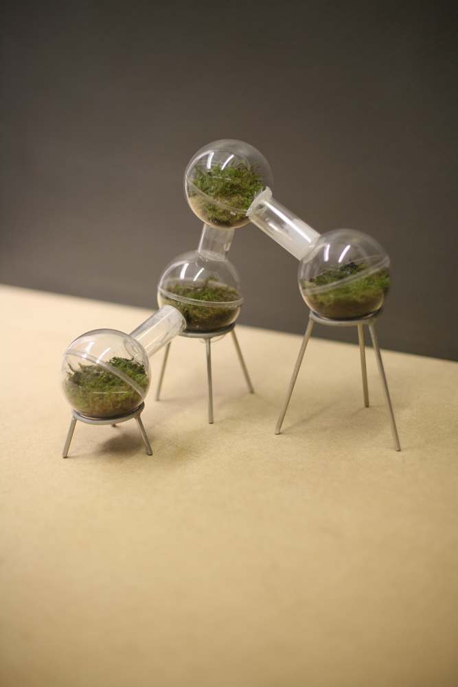 Small terrarium model.